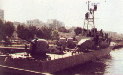 n_t_reshef_01.jpg (22210 bytes)